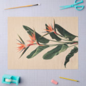 Vogel van het Paradijs Botanische Art Decoupage Tissuepapier (Craft)