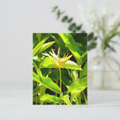 Vogel van het Paradijs Briefkaart (Staand voorkant)