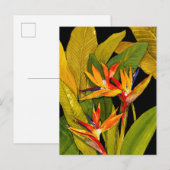 Vogel van het Paradijs Briefkaart (Voorkant / Achterkant)