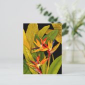 Vogel van het Paradijs Briefkaart (Staand voorkant)