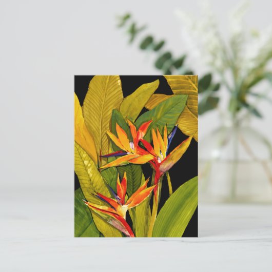 Vogel van het Paradijs Briefkaart (Staand voorkant)