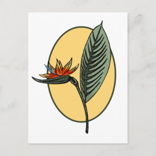Vogel van het Paradijs Briefkaart
