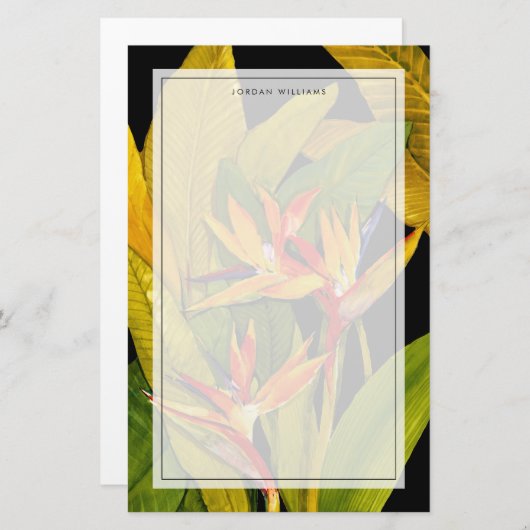 Vogel van het Paradijs Briefpapier (Voorkant / Achterkant)