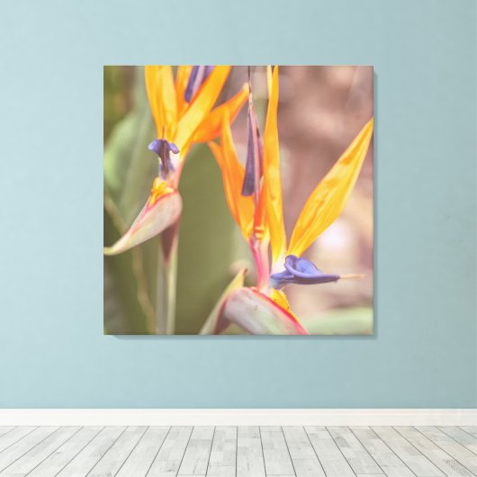 Vogel van het Paradijs Canvas Afdruk (Insitu (Houten vloer))