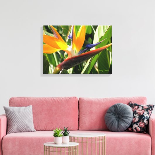 Vogel van het Paradijs Canvas Afdruk (Insitu (Woonkamer))