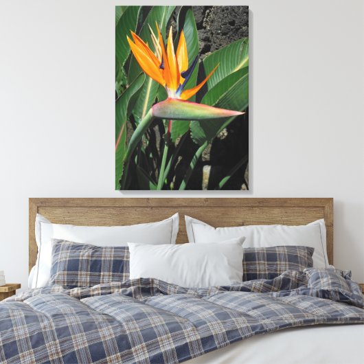 Vogel van het Paradijs Canvas Afdruk (Insitu (Slaapkamer))