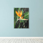 Vogel van het Paradijs Canvas Afdruk (Insitu (Houten vloer))