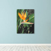 Vogel van het Paradijs Canvas Afdruk (Insitu (Houten vloer))