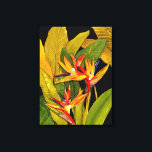 Vogel van het Paradijs Canvas Afdruk<br><div class="desc">Dramatische vogel van Paradise van Tim O'Toole. Een mooi en levendig kunststuk van een vogel van een paradijse bloem. | 29200Z</div>