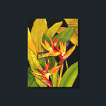 Vogel van het Paradijs Canvas Afdruk<br><div class="desc">Dramatische vogel van Paradise van Tim O'Toole. Een mooi en levendig kunststuk van een vogel van een paradijse bloem. | 29200Z</div>