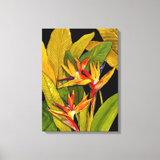 Vogel van het Paradijs Canvas Afdruk (Voorkant)