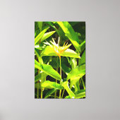 Vogel van het Paradijs Canvas Afdruk (Voorkant)