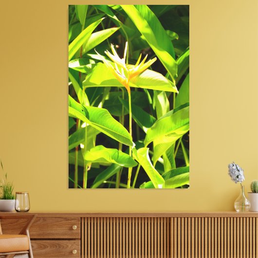 Vogel van het Paradijs Canvas Afdruk (Insitu (Woonkamer))