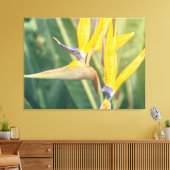 Vogel van het Paradijs Canvas Afdruk (Insitu (Woonkamer))
