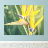 Vogel van het Paradijs Canvas Afdruk (Insitu (Houten vloer))
