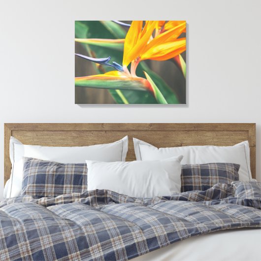 Vogel van het Paradijs Canvas Afdruk (Insitu (Slaapkamer))