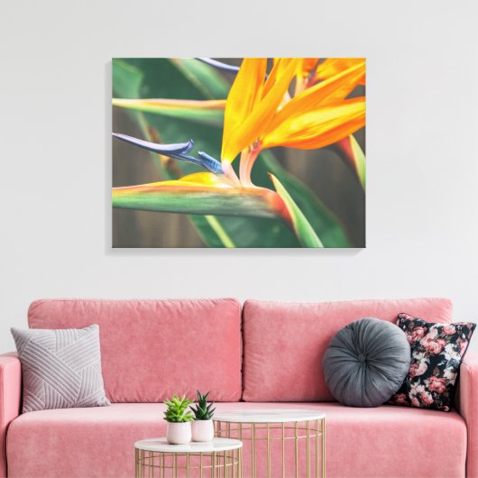 Vogel van het Paradijs Canvas Afdruk (Insitu (Woonkamer))