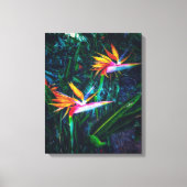 Vogel van het paradijs canvas afdruk (Voorkant)
