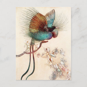 Vogel van het Paradijs en de Fairies Briefkaart