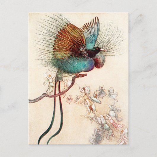 Vogel van het Paradijs en de Fairies Briefkaart (Voorkant)