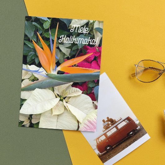 Vogel van het Paradijs en Poinsettias Hawaiian Flo Feestdagen Kaart