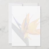 Vogel van het Paradijs Flower Bridal Shower Invita Kaart (Achterkant)