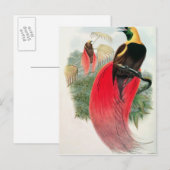 Vogel van het Paradijs, gegraveerd door T. Walter Briefkaart (Voorkant / Achterkant)