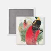 Vogel van het Paradijs, gegraveerd door T. Walter Magneet (Voorkant / Achterkant)