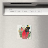 Vogel van het Paradijs, gegraveerd door T. Walter Magneet (Insitu (Vaatwasser))