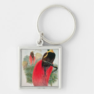 Vogel van het Paradijs, gegraveerd door T. Walter Sleutelhanger