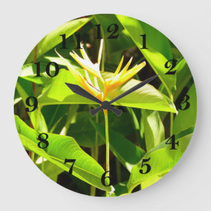 Vogel van het Paradijs Grote Klok