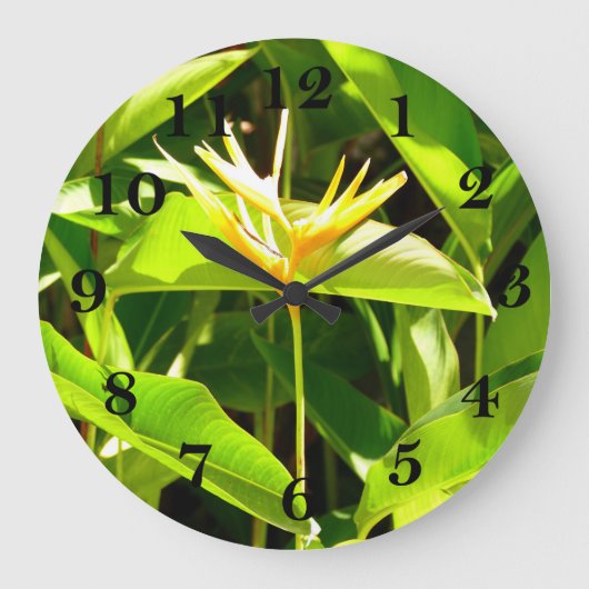 Vogel van het Paradijs Grote Klok (Voorkant)