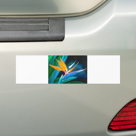 Vogel van het paradijs (Hawaii) Bumpersticker (Op auto)