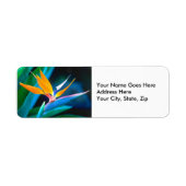 Vogel van het paradijs (Hawaii) Etiket (Voorkant)