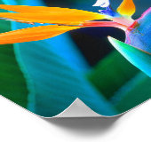 Vogel van het paradijs (Hawaii) Poster (Hoek)