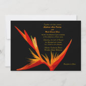 Vogel van het Paradijs Kaart (Voorkant)