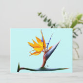 Vogel van het Paradijs Kaart (Staand voorkant)