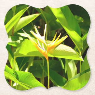 Vogel van het Paradijs Kartonnen Onderzetters