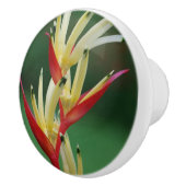 Vogel van het Paradijs Keramische Knop (Rechts)