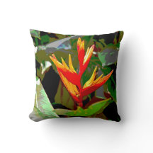 Vogel van het Paradijs