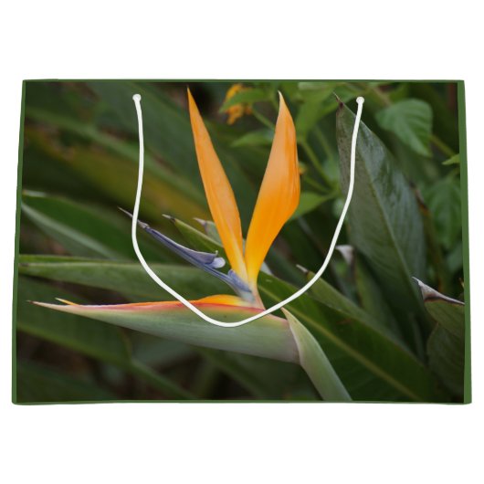 Vogel van het Paradijs Large Cadeautasje (Voorkant)