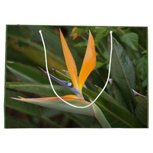 Vogel van het Paradijs Large Cadeautasje (Achterkant)