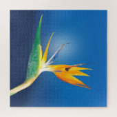 Vogel van het paradijs legpuzzel (Horizontaal)