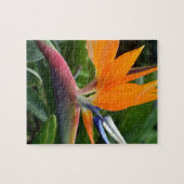 Vogel van het paradijs legpuzzel (Horizontaal)