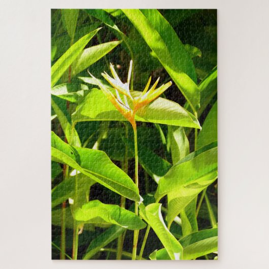 Vogel van het Paradijs Legpuzzel (Verticaal)