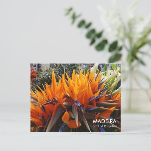 Vogel van het Paradijs, MADEIRA Briefkaart (Staand voorkant)