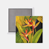 Vogel van het Paradijs Magneet (Voorkant / Achterkant)