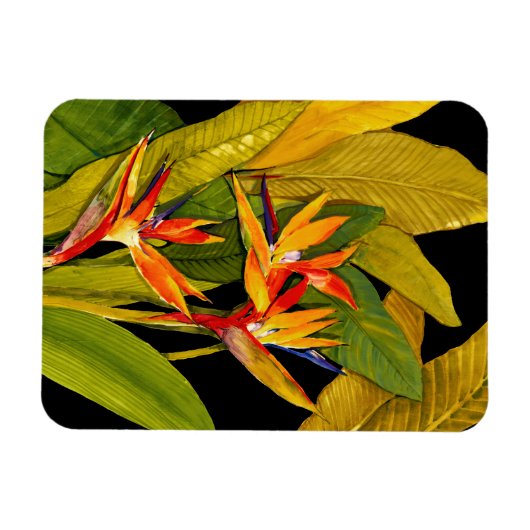 Vogel van het Paradijs Magneet (Horizontaal)