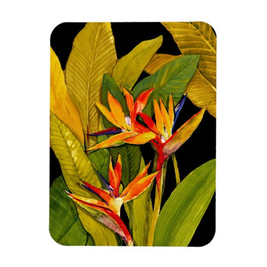 Vogel van het Paradijs Magneet (Verticaal)