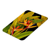 Vogel van het Paradijs Magneet (Linkerzijde)